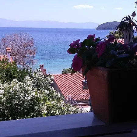 Paradise * PalaiónTsiflíkion