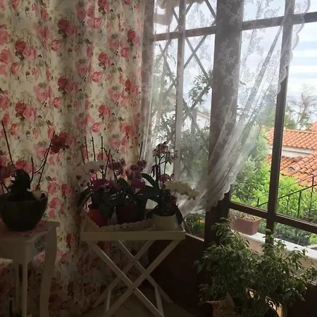 Paradise