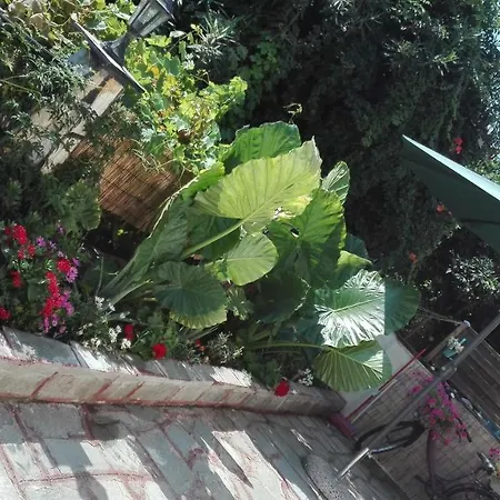 Paradise Prázdninový dům
